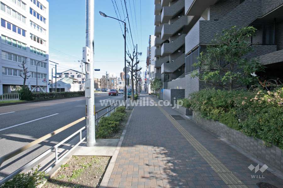 敷地北側は県道215号に面しています。