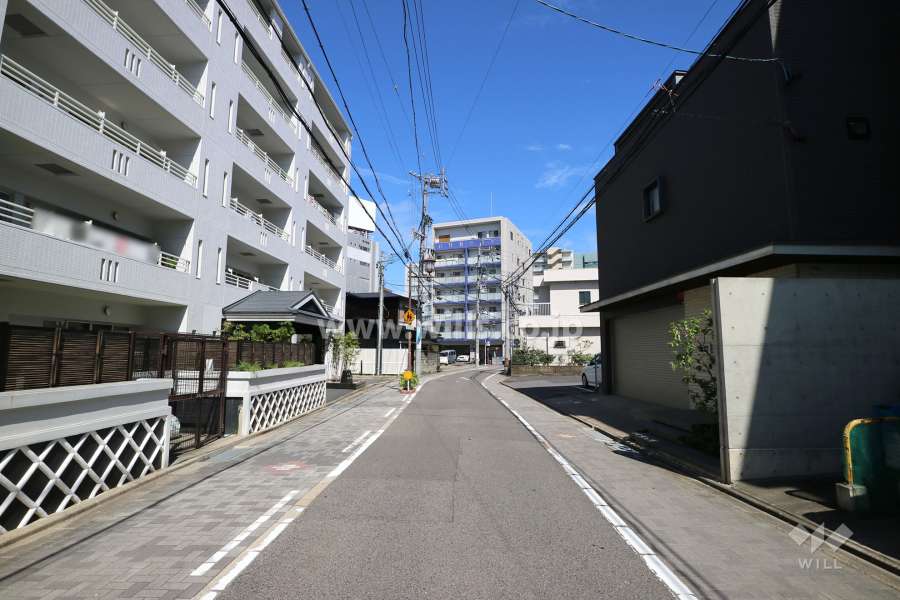 敷地南側の前面道路（西側から）