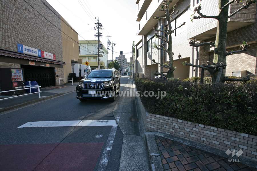 敷地東側の前面道路（北側から）