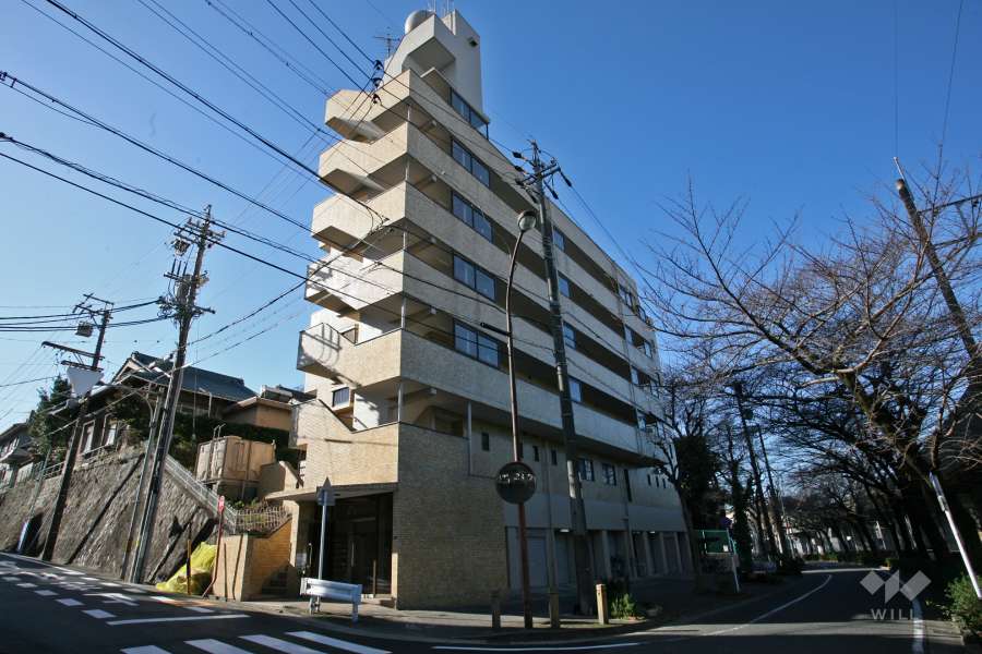 メイゾン芳野の外観（東側から）