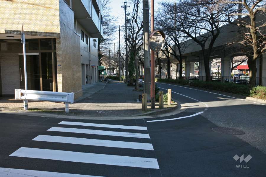 敷地北側の前面道路（東側から）