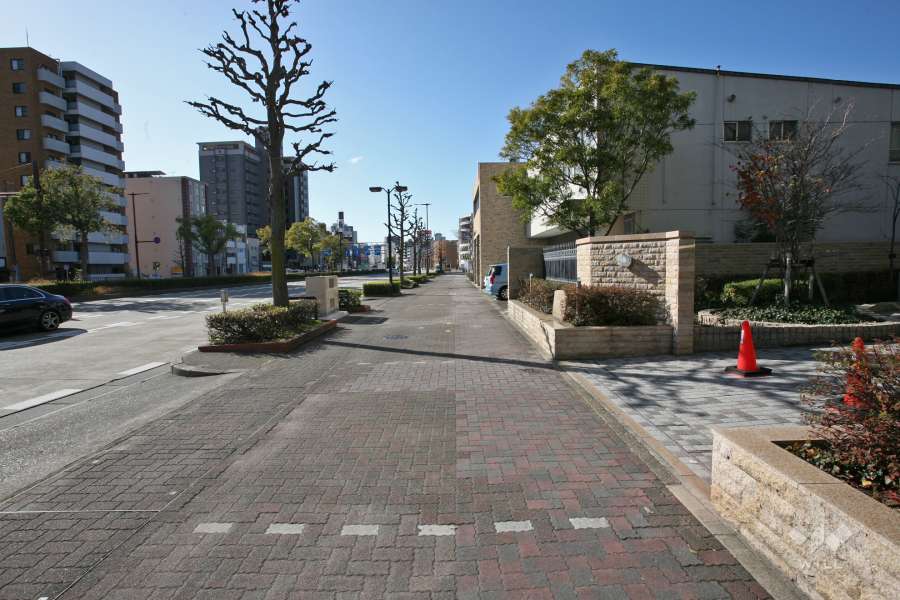 敷地南東側の前面道路（国道19号）