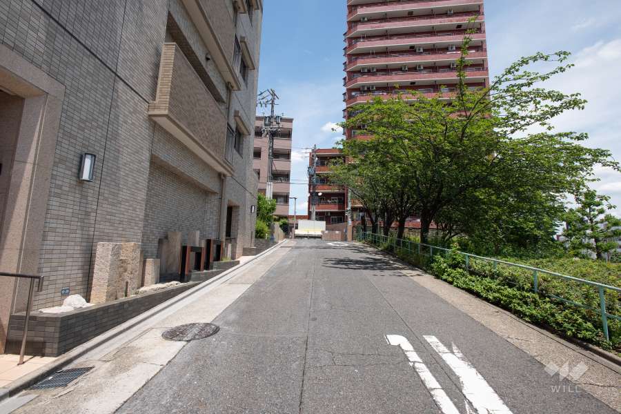 敷地東側の前面道路(南側から)