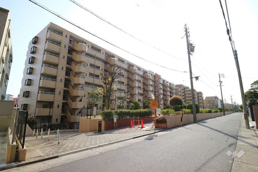 ダイアパレス東白壁A棟の外観（北東側から）