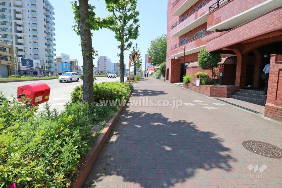 敷地の東側前面道路（北側から）