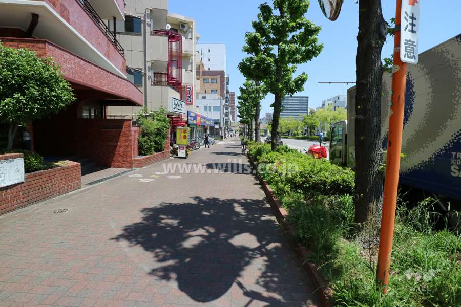 敷地の東側前面道路（南側から）