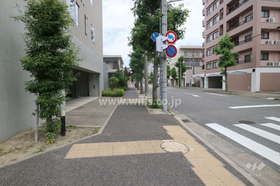 敷地東側の前面道路（南側から）