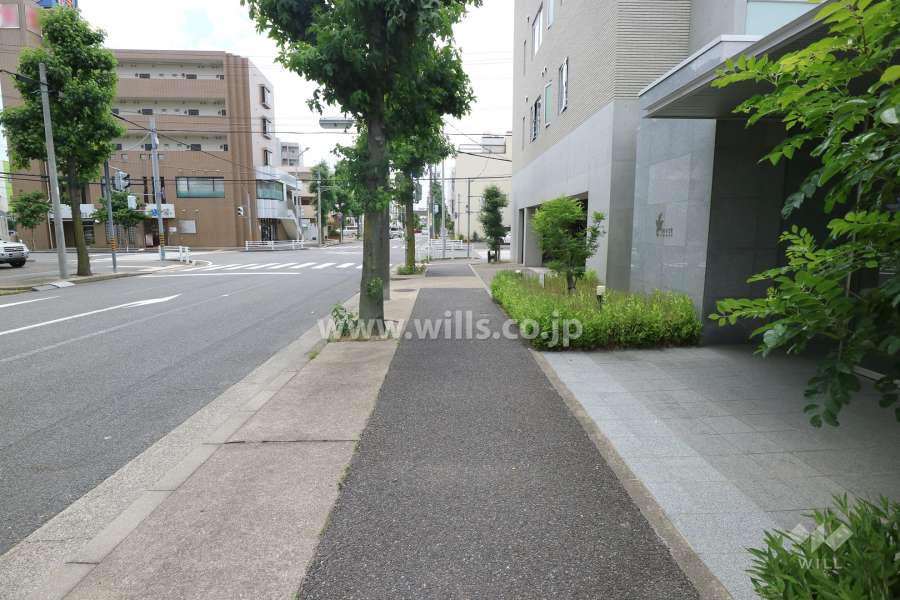 敷地東側の前面道路（北側から）