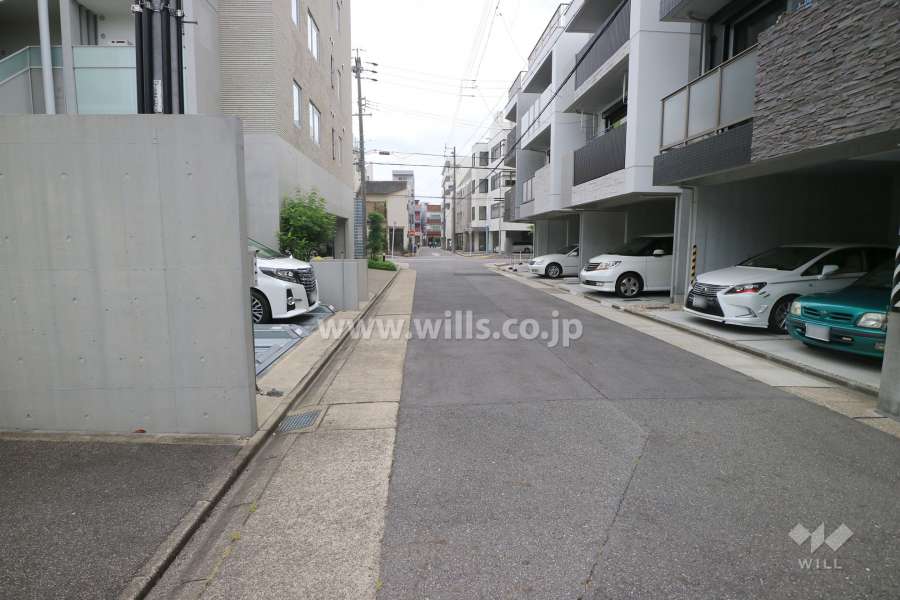 敷地西側の前面道路（北側から）
