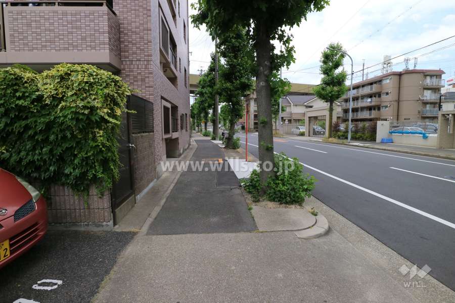 敷地の東側前面道路（南側から）