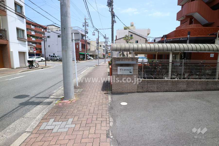 敷地の北側前面道路（西側から）