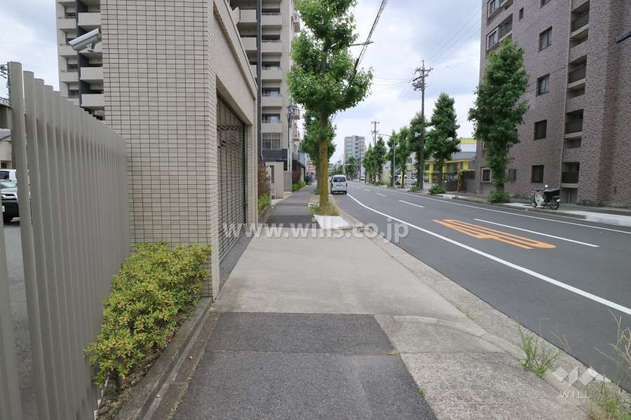 敷地西側の前面道路（北側から）