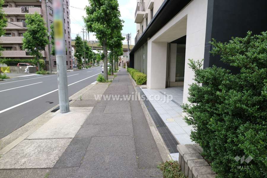 敷地西側の前面道路（南側から）