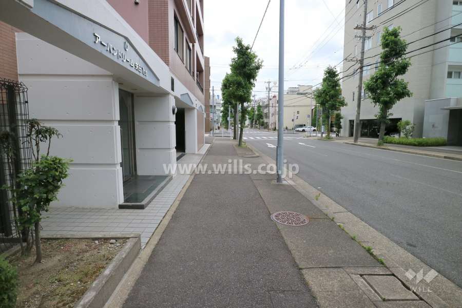 敷地西側の前面道路（北側から）