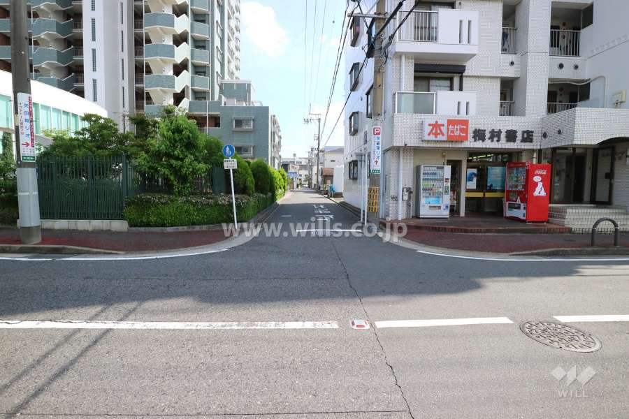 敷地西側の前面道路（北側から）