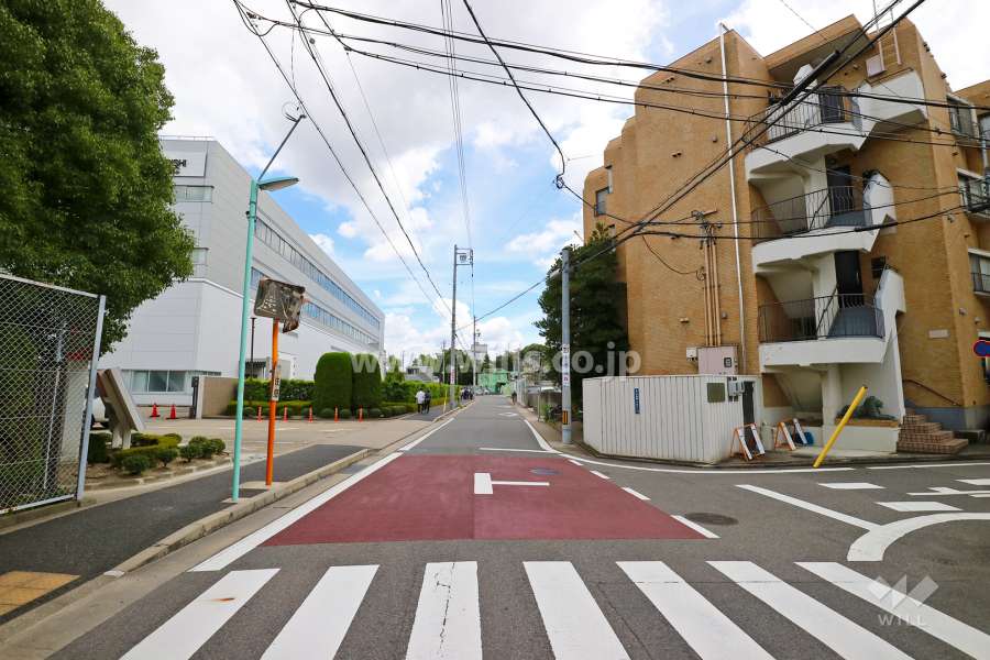 敷地北側の前面道路（西側から）