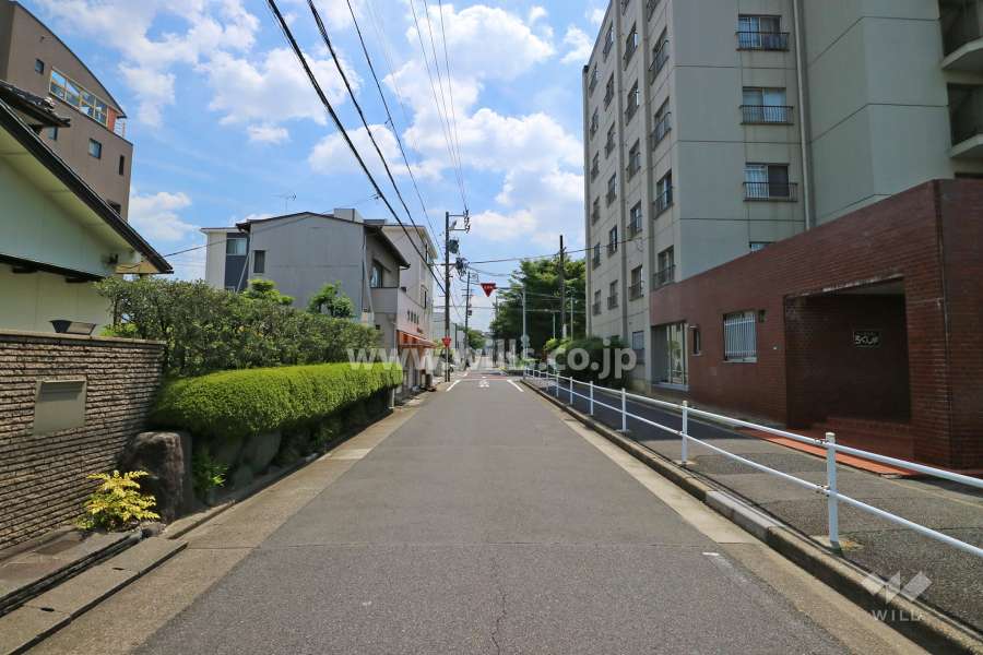 敷地東側の前面道路（北側から）