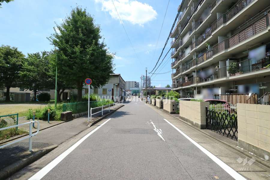 敷地南側の前面道路（東側から）