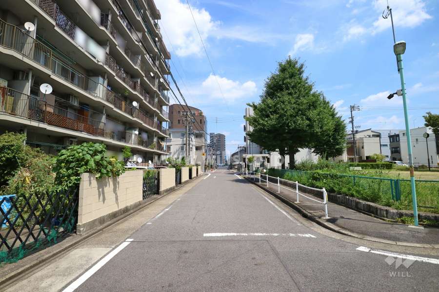 敷地南側の前面道路（西側から）