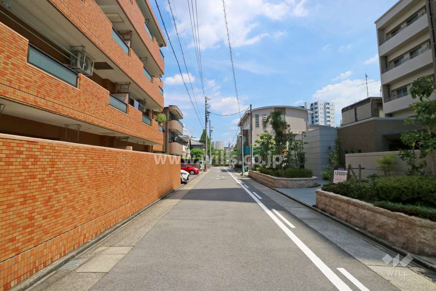 敷地南側の前面道路（西側から）