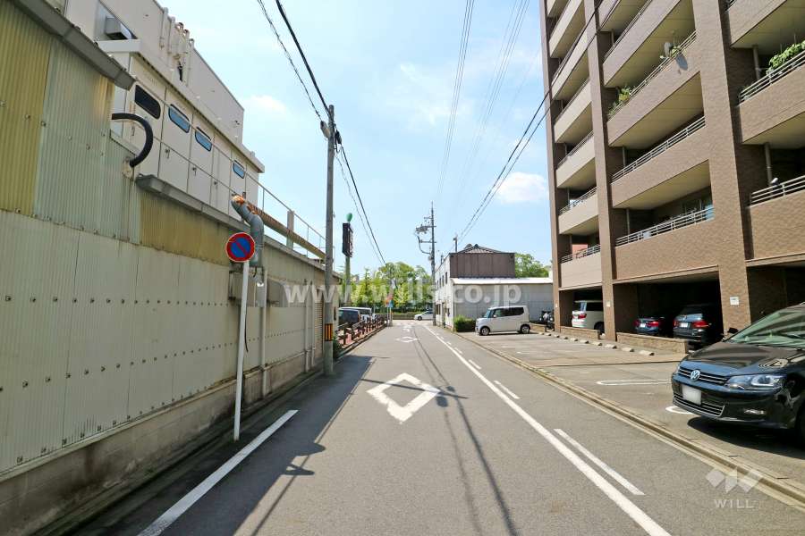敷地南側の前面道路（東側から）