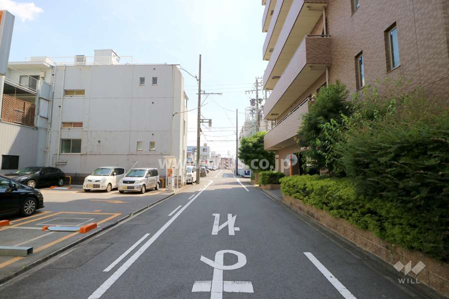 敷地西側の前面道路（北側から）