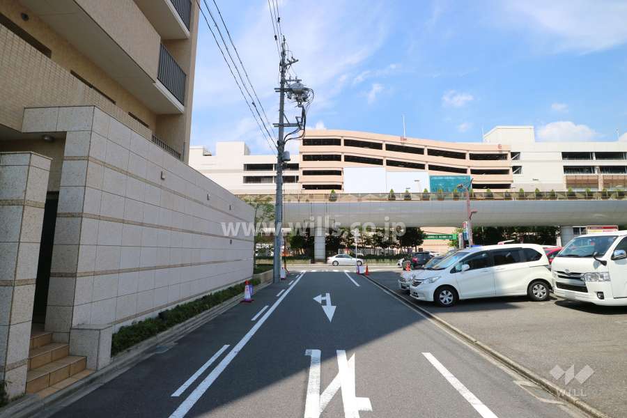 敷地東側の前面道路（南側から）