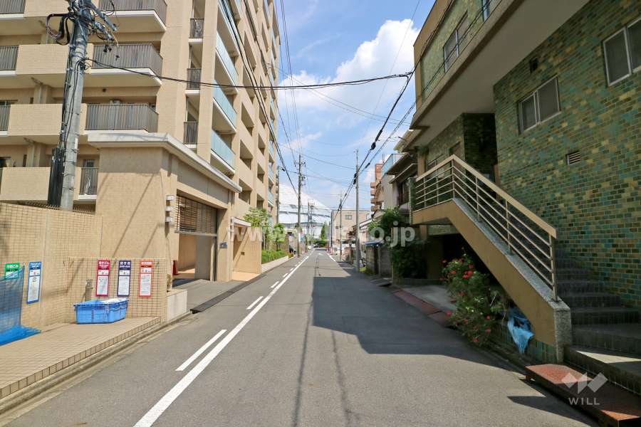 敷地南側の前面道路（西側から）