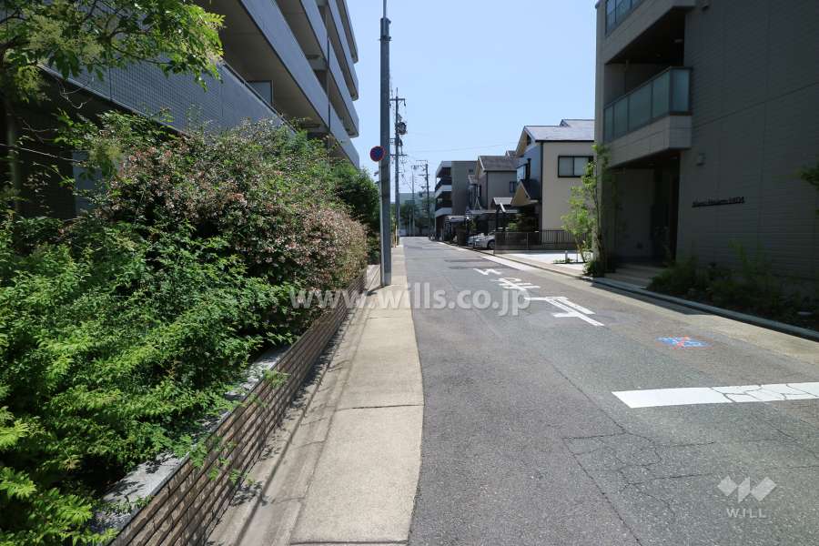 敷地の南側前面道路（西側から）