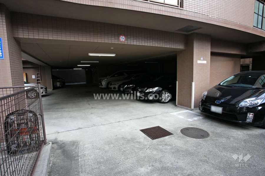 敷地内駐車場（自走式）