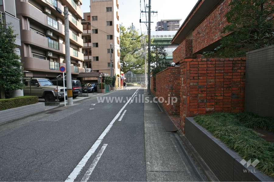 敷地南側の前面道路（西側から）