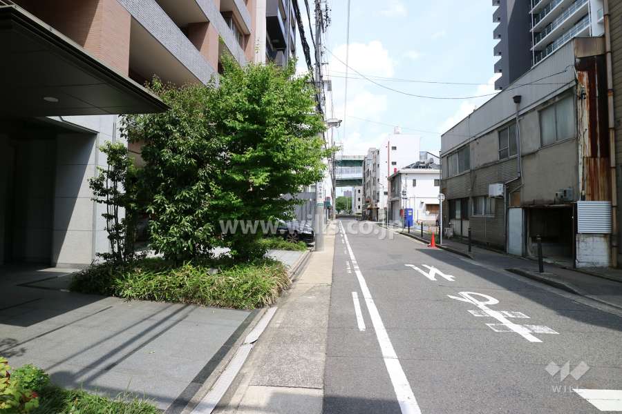 敷地の南側前面道路（西側から）