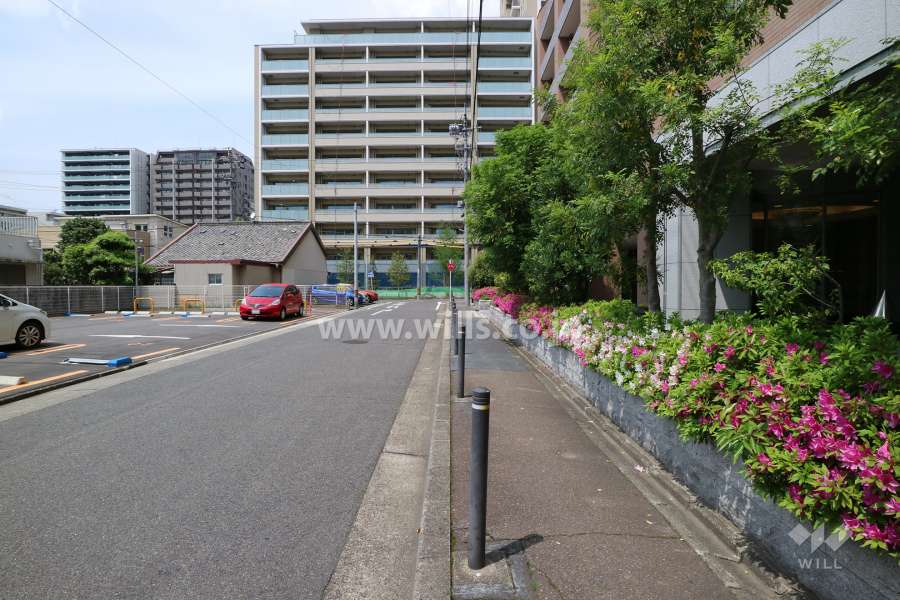 敷地の西側前面道路（南側から）