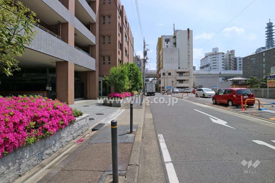 敷地の西側前面道路（北側から）