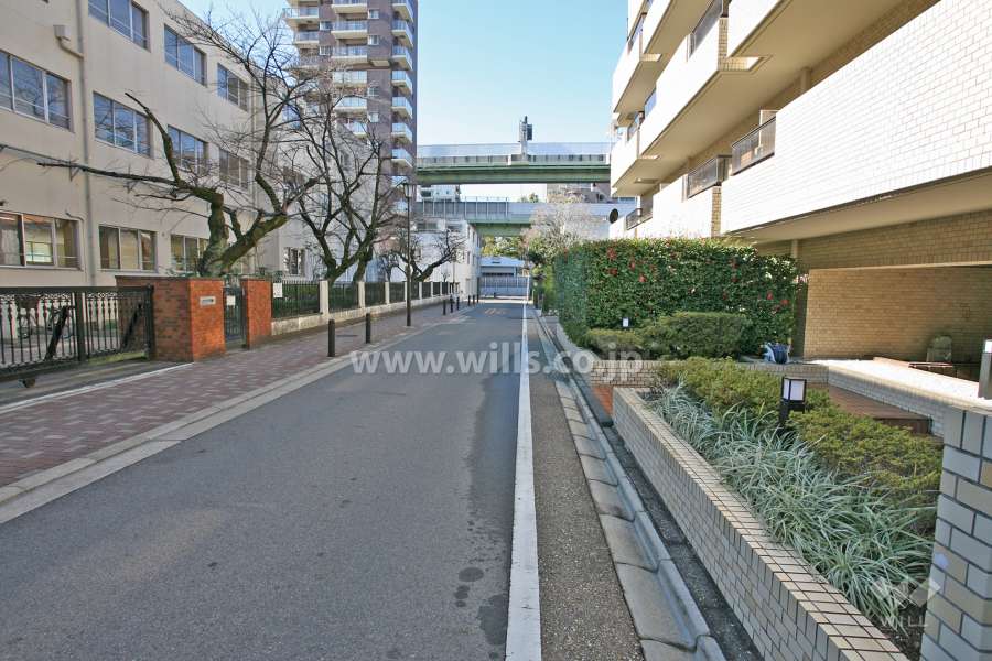 敷地前面道路