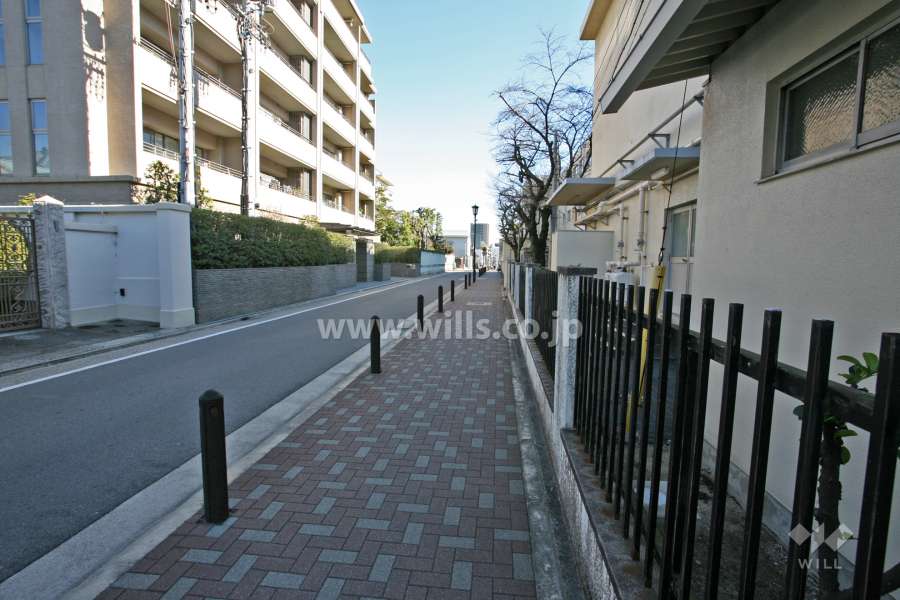 敷地南側の前面道路(西側から)