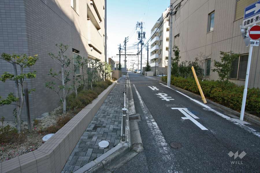 敷地東側の前面道路（南側から）