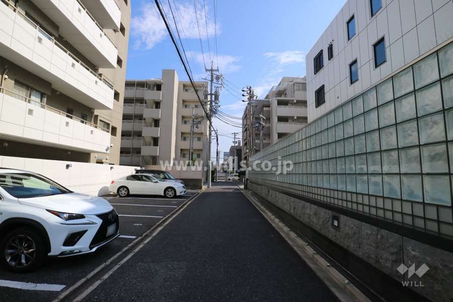 敷地西側の前面道路（北側から）