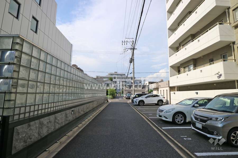 敷地西側の前面道路（南側から）