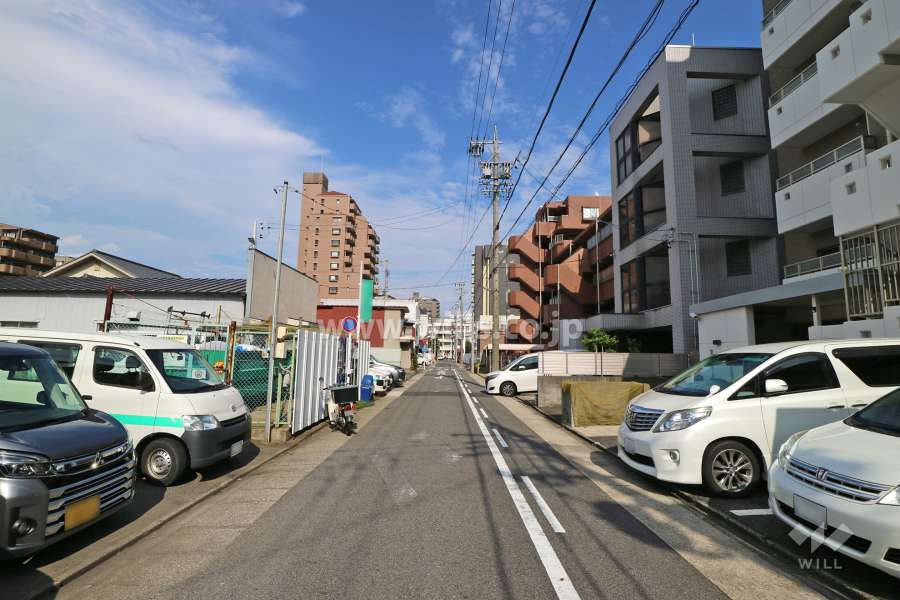 敷地北側の前面道路（西側から）