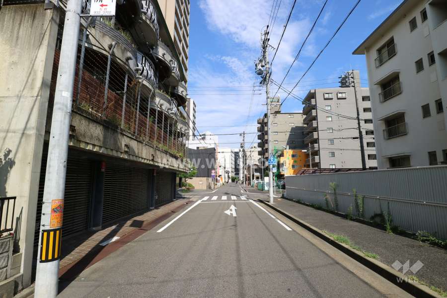 敷地南側の前面道路（西側から）