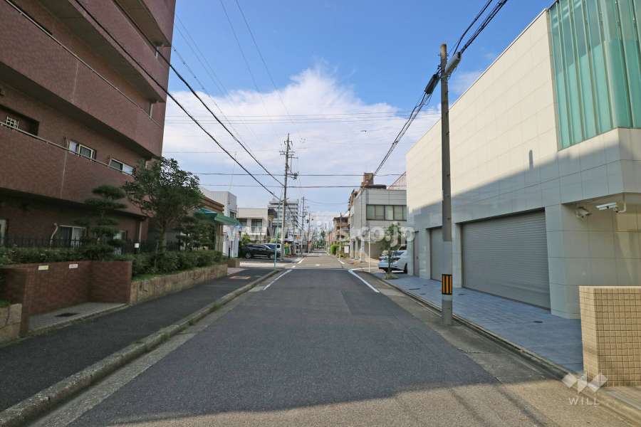 敷地東側の前面道路（南側から）