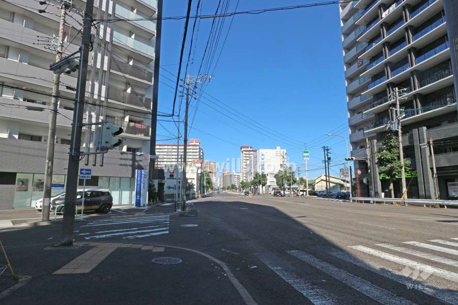 敷地南東側の前面道路（南西側から）