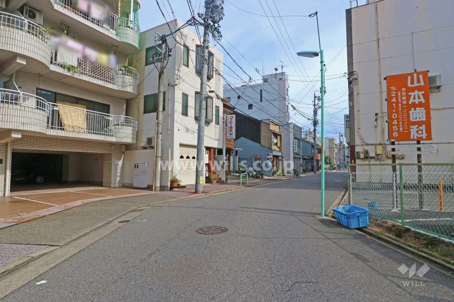 敷地南側の前面道路（西側から）