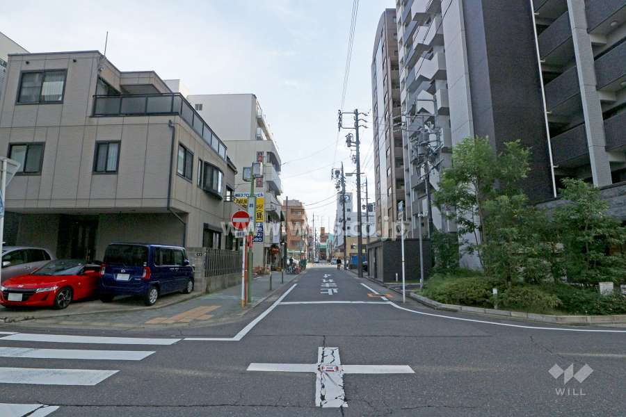 敷地北側の前面道路（西側から）