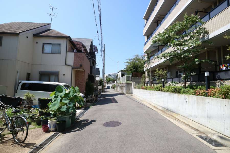 敷地東側の前面道路（北側から）