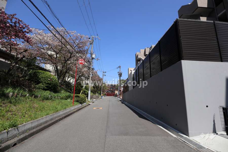 敷地北西側の前面道路（南西側から）