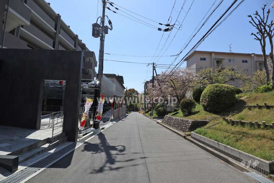 敷地北西側の前面道路（北東側から）