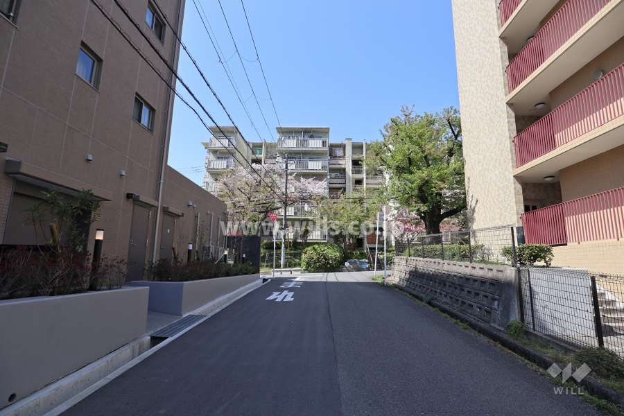 敷地北東側の前面道路（南東側から）