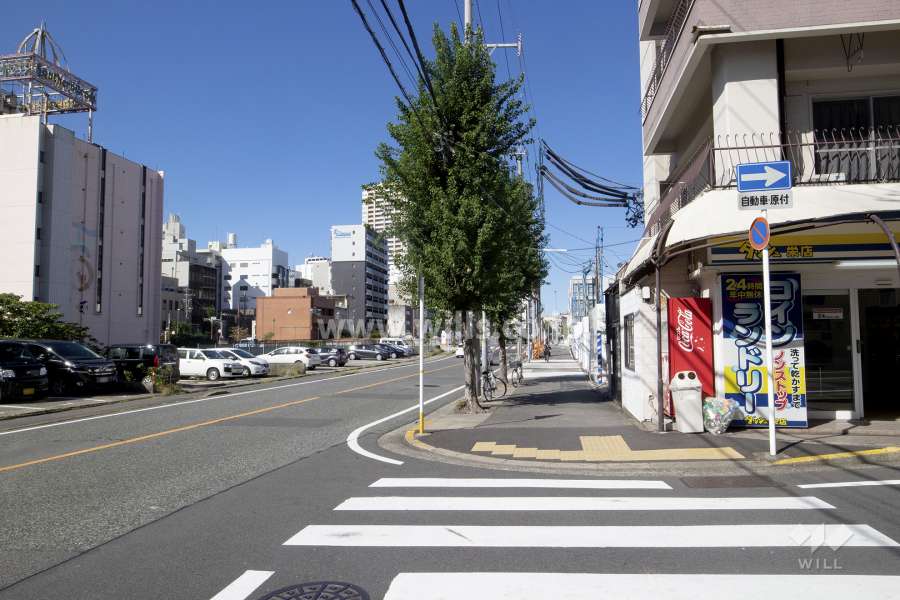敷地西側の前面道路（南側から）